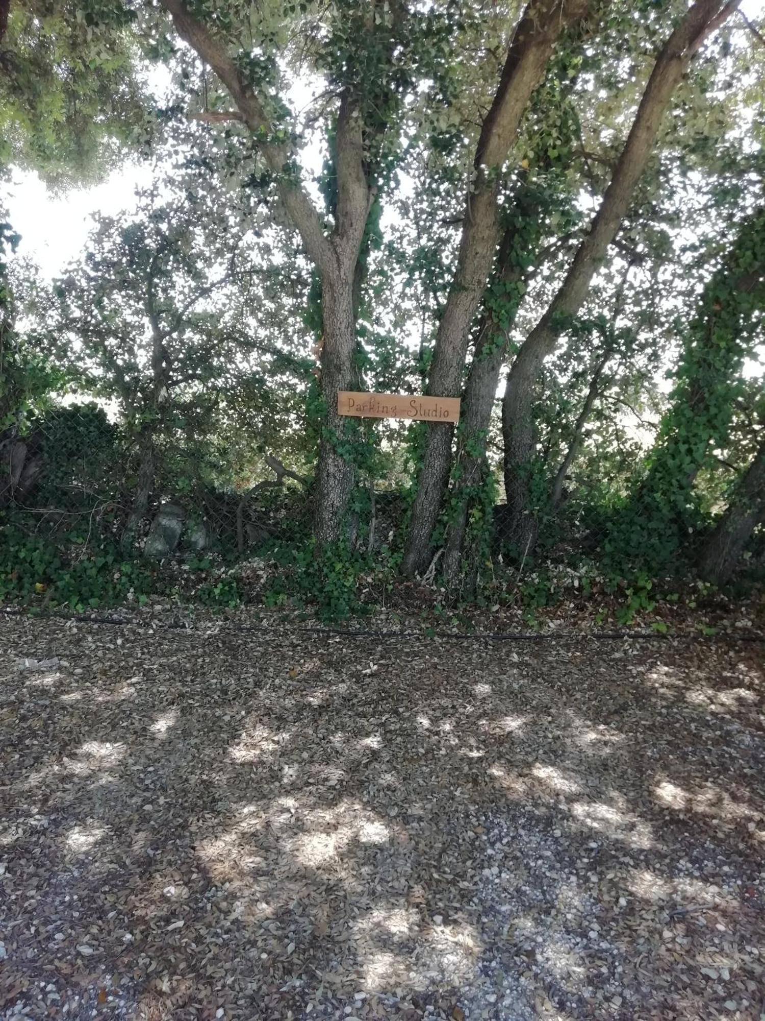 O Chalets De Provence Suze-la-Rousse Εξωτερικό φωτογραφία